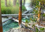 Video of Amphitheater Springs and Whiterock Springs