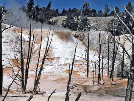 Photographs of Yellowstone National Park