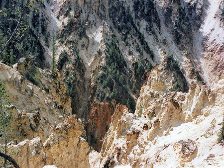 Photographs of Yellowstone National Park