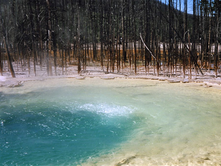 Photographs of Yellowstone National Park