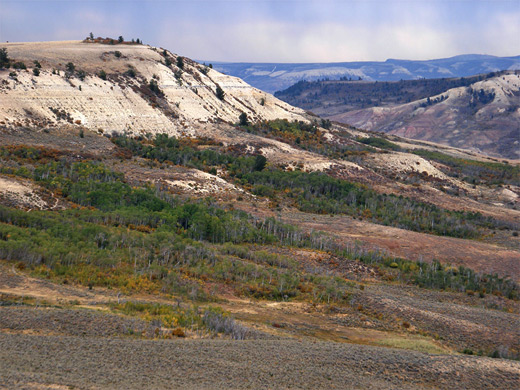 Wooded slopes below Fossil Butte