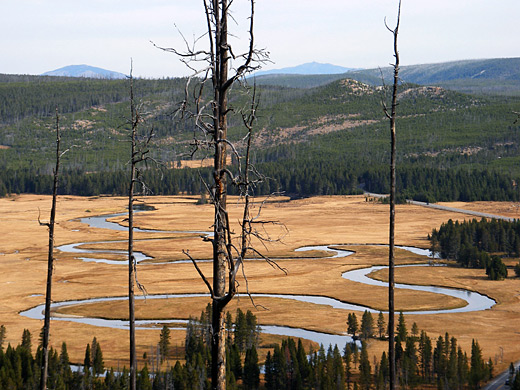 Meanders of the Gibbon River across Gibbon Meadows