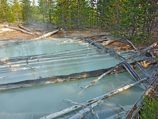 Dead trees lying across a cloudy, grey-water pool