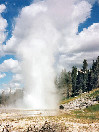 Photographs of Yellowstone National Park