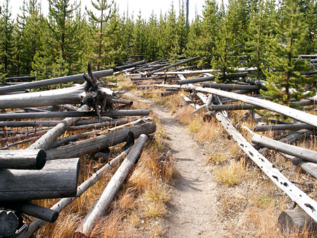 Photographs of Yellowstone National Park