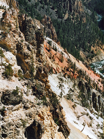 Photographs of Yellowstone National Park