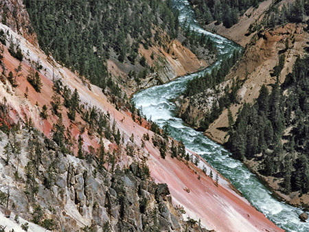 Photographs of Yellowstone National Park