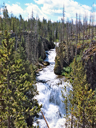 Photographs of Yellowstone National Park