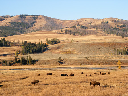 Photographs of Yellowstone National Park