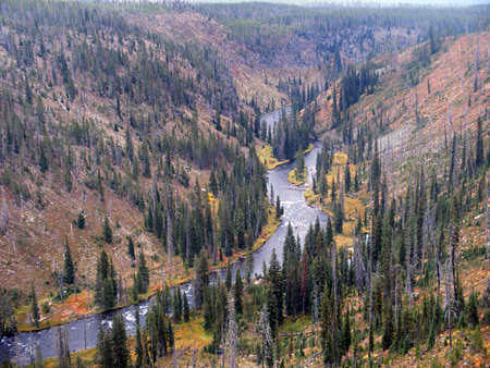 Lewis River Canyon