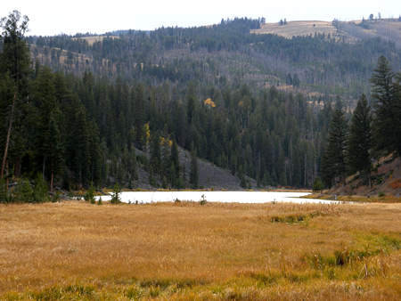 Photographs of Yellowstone National Park