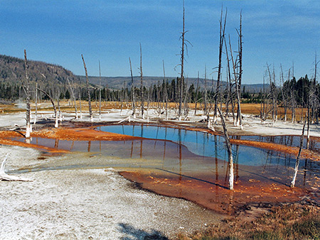 Photographs of Yellowstone National Park