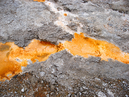 Photographs of Yellowstone National Park