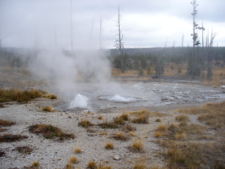 Vents erupting, near Rustic Geyser
