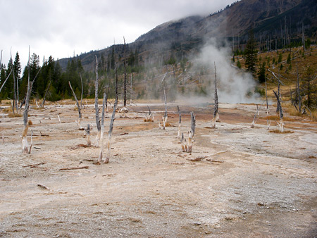 Photographs of Yellowstone National Park