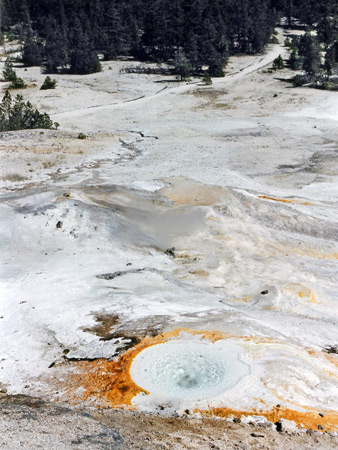 Photographs of Yellowstone National Park
