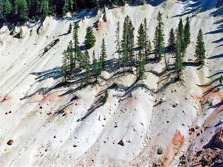 Photographs of Yellowstone National Park