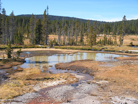 Shallow pool