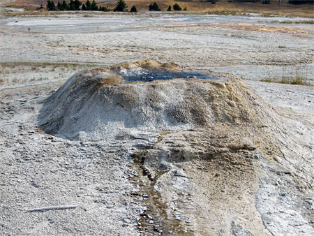Sponge Geyser