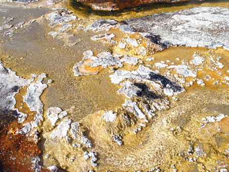 Photographs of Yellowstone National Park