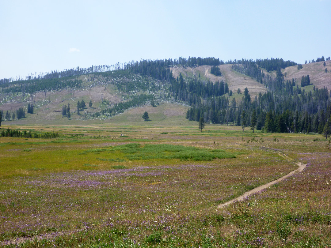 Meadow east of Cascade Lake