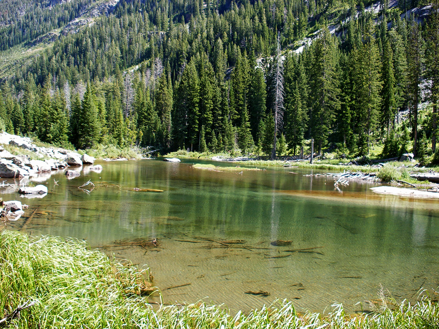 Pool in Cascade Canyon
