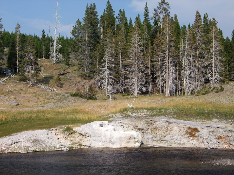 Riverside Geyser and the Firehole River