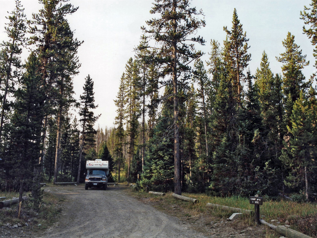 Campsite in the Targhee National Forest