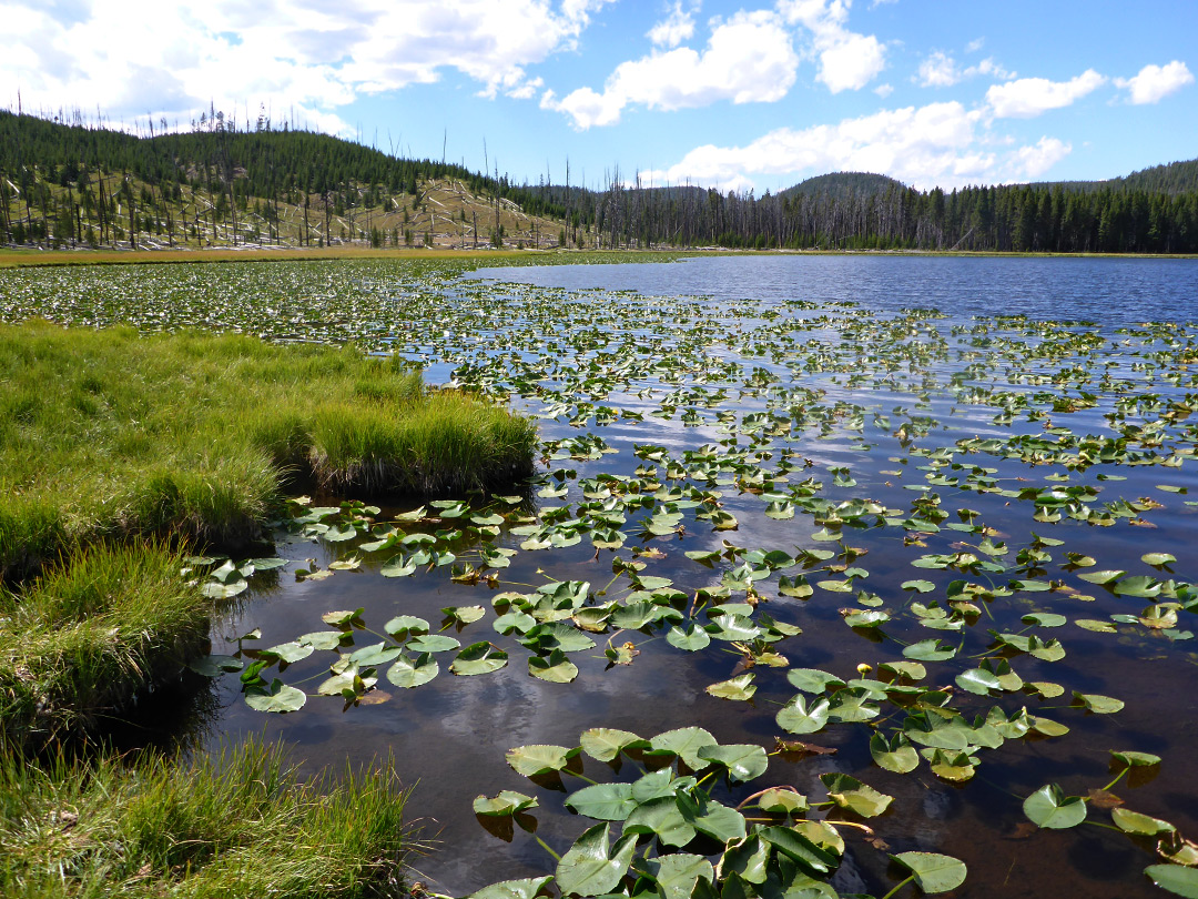 South edge of the lake