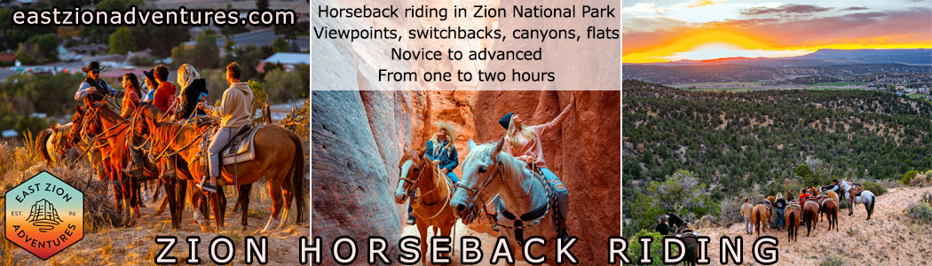Horse riding near Zion National Park