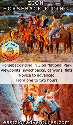 Horse riding near Zion National Park