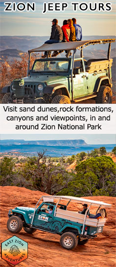 Jeep tours near Zion National Park
