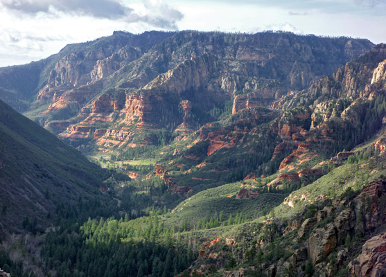 View south along the AB Young Trail