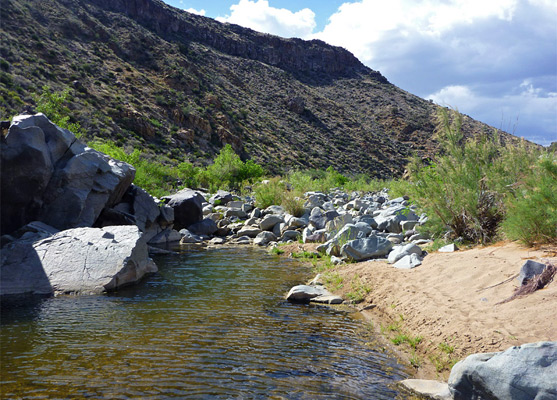 Sandy beach beside the Agua Fria River