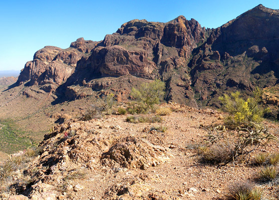 Highest peaks of the Ajo Mountains
