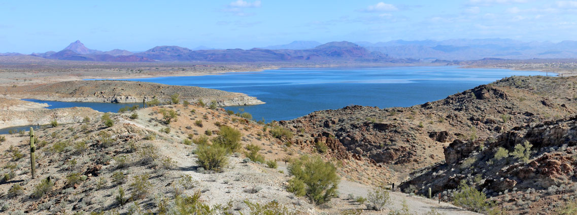 Alamo Lake, seen from the hills at the edge of the state park