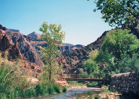 Bridge over Bright Angel Creek