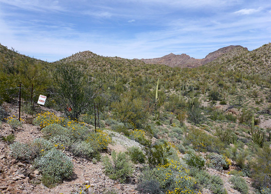 Hills west of the mine