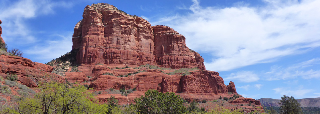 Bushes below the edge of Bell Rock