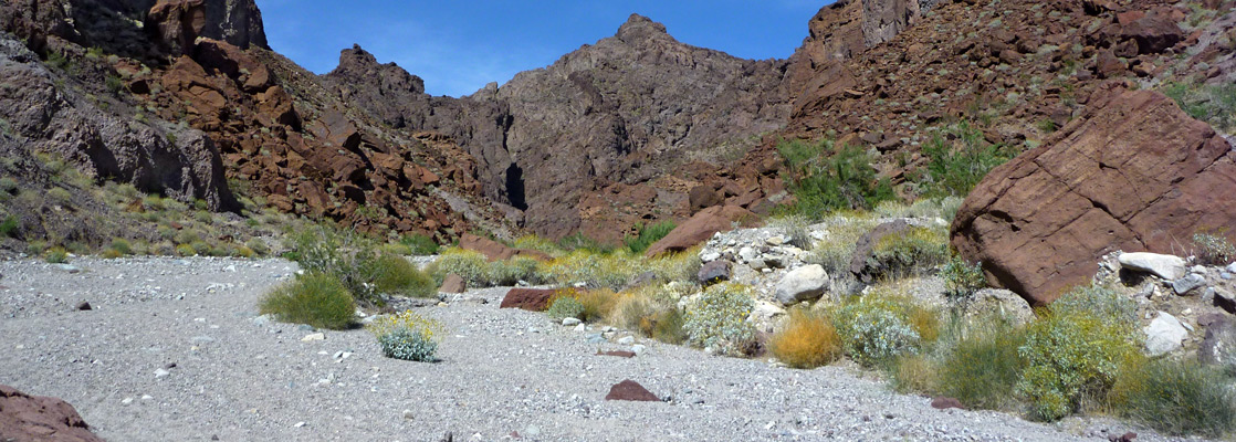 Streambed of Black Canyon