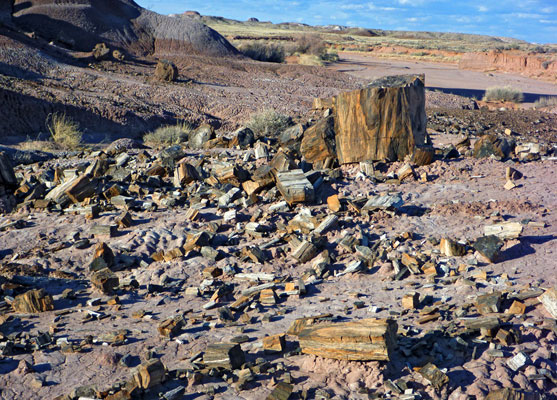 Eroding petrified wood