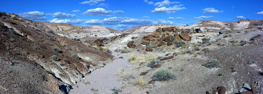 Dry wash through whitish badlands, in the Black Forest