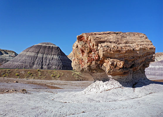 Petrified log on Blue Mesa