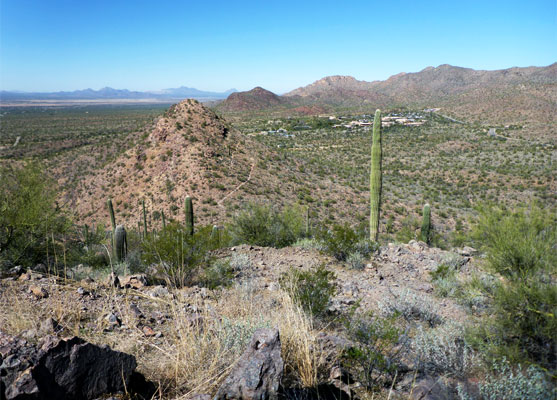 North end of the ridge