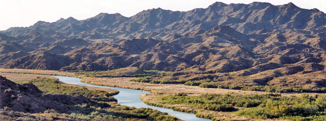 Lower end of the Bill Williams River, near Lake Havasu