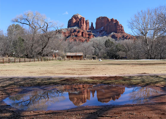 Reflective puddle