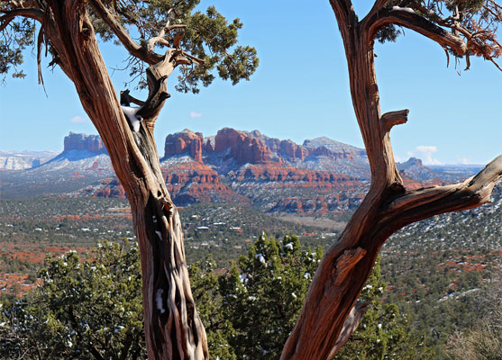 Cathedral Rock