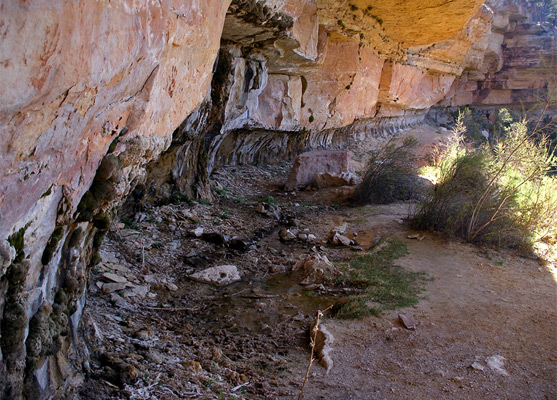 Dripping spring