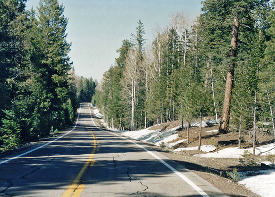 Snow on the Coronado Trail in May