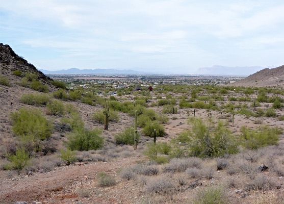 Desert flats near the northern Goldmine trailhead